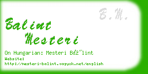 balint mesteri business card